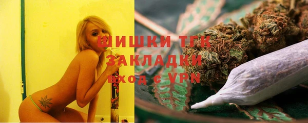 прущие грибы Протвино