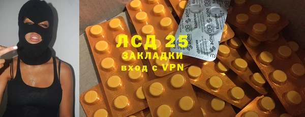 прущие грибы Протвино