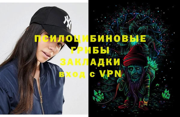 прущие грибы Протвино