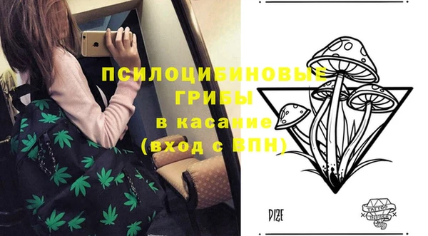 прущие грибы Протвино