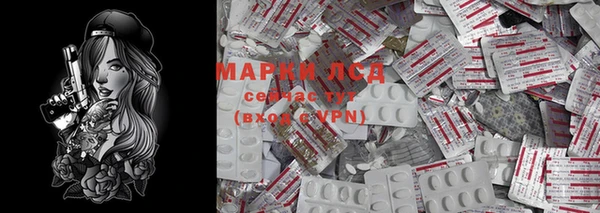 прущие грибы Протвино