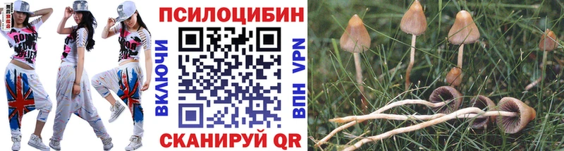 Купить закладки Власиха Галлюциногенные грибы прущие грибы
